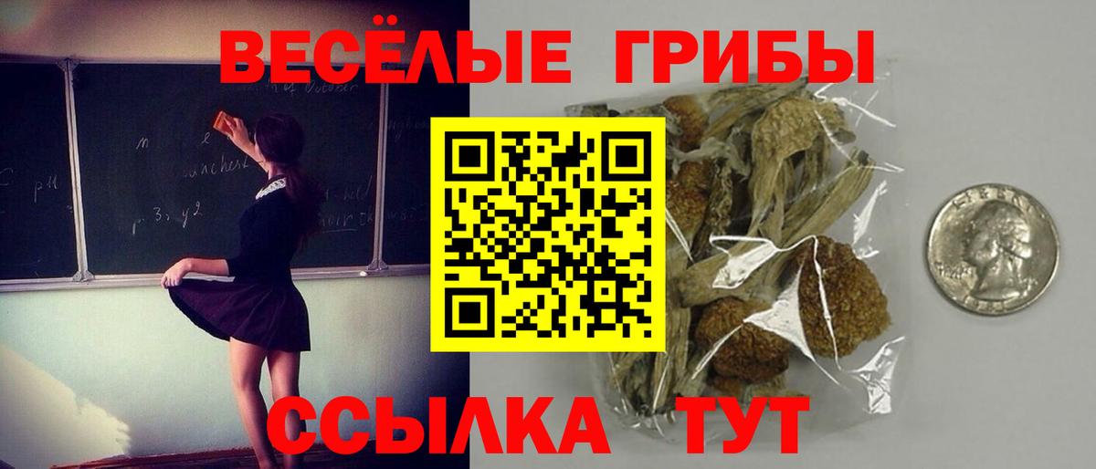 Псилоцибиновые грибы GOLDEN TEACHER  продажа наркотиков  Ялуторовск  Галлюциногенные грибы ЛСД  Вход с VPN 