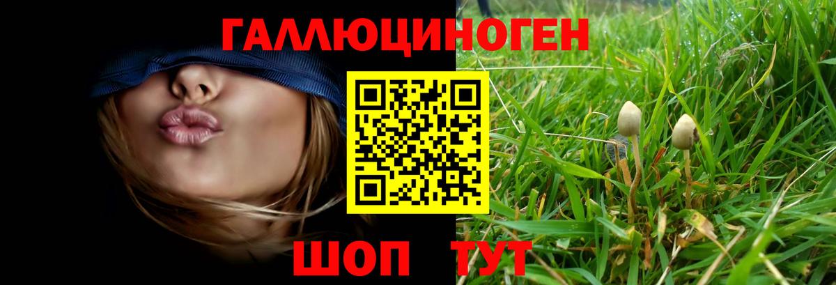 Галлюциногенные грибы ЛСД Ялуторовск